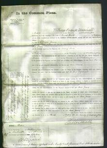 Court of Common Pleas - Ann James-Original Ancestry