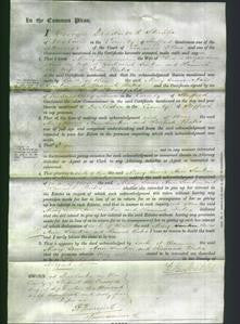 Court of Common Pleas - Mary Wright, Lewis Ann Simkin and Hannah Bates-Original Ancestry