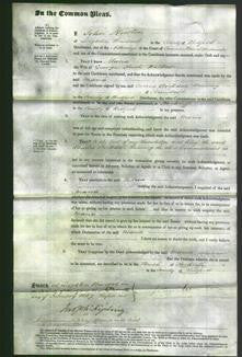 Court of Common Pleas - Maria Walker-Original Ancestry