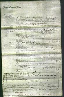Court of Common Pleas - Mary Tribe-Original Ancestry