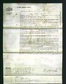 Court of Common Pleas - Mary Ann Robinson-Original Ancestry