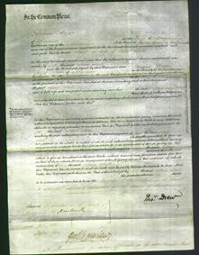 Court of Common Pleas - Mary Mills-Original Ancestry