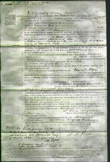 Court of Common Pleas - Margaret Foreman, Flora Augusta Hackman-Original Ancestry