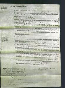 Court of Common Pleas - Emily Zelina Webb-Original Ancestry