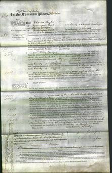 Court of Common Pleas - Edith Holmes, Rosa Slater and Elizabeth Nadin-Original Ancestry