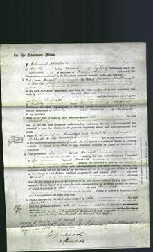 Court of Common Pleas - Harriet Croft-Original Ancestry