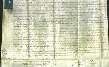 Court of Common Pleas - Sarah Horner-Original Ancestry