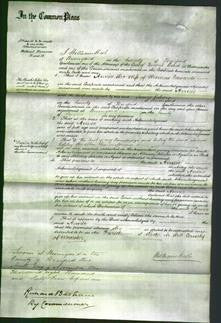 Court of Common Pleas - Annie Edwards