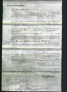 Court of Common Pleas - Mary Ann Weare-Original Ancestry