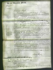 Court of Common Pleas - Elizabeth Longman-Original Ancestry