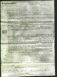 Court of Common Pleas - Hannah Milner-Original Ancestry