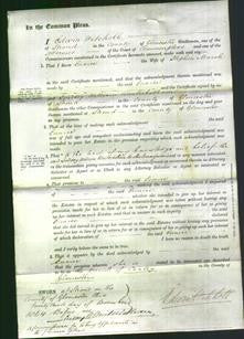 Court of Common Pleas - Eunice Marsh-Original Ancestry