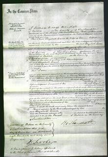 Court of Common Pleas - Elizabeth Creese-Original Ancestry