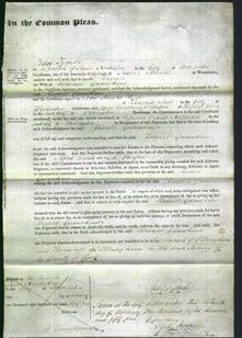 Court of Common Pleas - Harriet Grimshaw-Original Ancestry