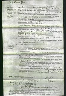 Court of Common Pleas - Hannah Mather-Original Ancestry