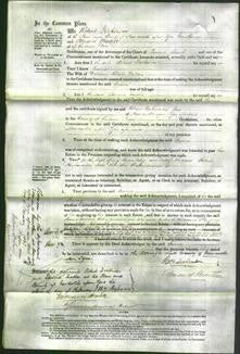 Court of Common Pleas - Emma Wallace-Original Ancestry