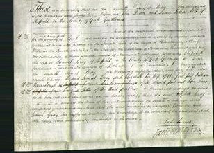 Deed by Married Women - Elizabeth Gray-Original Ancestry