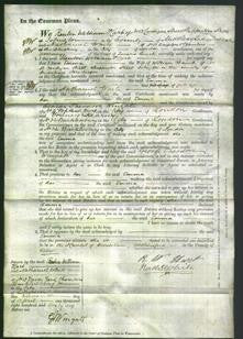 Court of Common Pleas - Emma Chaulk-Original Ancestry