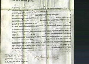 Court of Common Pleas - Mary Ann Bulley-Original Ancestry