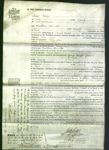 Court of Common Pleas - Mary Ann Peake