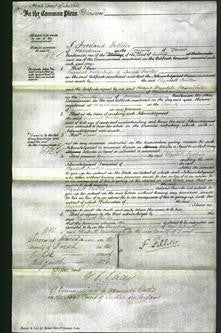 Court of Common Pleas - Elizabeth Fowler-Original Ancestry