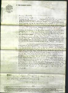 Court of Common Pleas - Mary Lindsey, Eliza Barrett, Rachel Parker, Sarah Smith-Original Ancestry