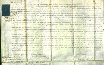 Court of Common Pleas - Ann Bayley-Original Ancestry
