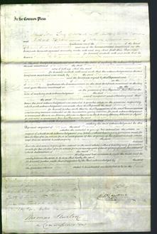 Court of Common Pleas - Frances Johnson