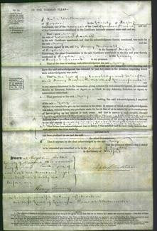 Court of Common Pleas - Mary Racher-Original Ancestry