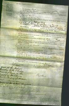 Court of Common Pleas - Harriet Fry