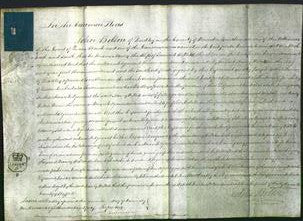 Court of Common Pleas - Nancy Willets-Original Ancestry