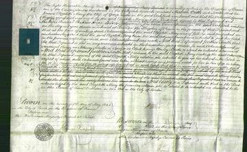 Court of Common Pleas - Elizabeth Mary Tudor-Original Ancestry