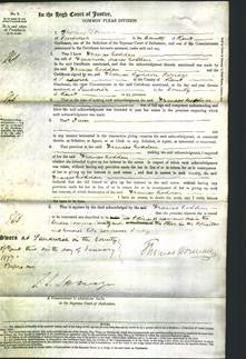 Court of Common Pleas - Frances Golden-Original Ancestry