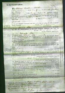 Court of Common Pleas - Ann Greenall-Original Ancestry