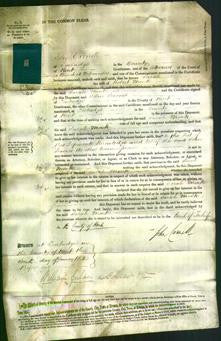 Court of Common Pleas - Sarah Monk-Original Ancestry