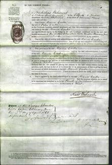 Court of Common Pleas - Maria Carter-Original Ancestry
