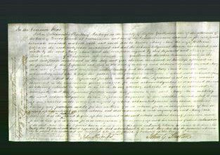 Court of Common Pleas - Mary Gilfin-Original Ancestry