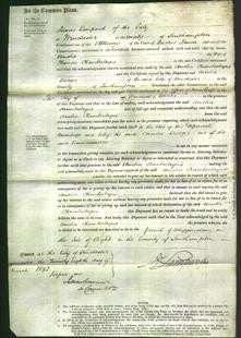 Court of Common Pleas - Amelia Chamberlayne-Original Ancestry