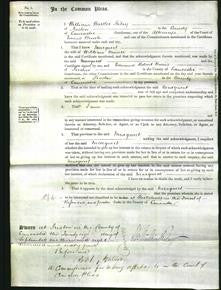 Court of Common Pleas - Margaret Camice-Original Ancestry