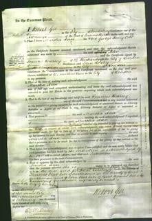 Court of Common Pleas - Martha Ann Cobb-Original Ancestry