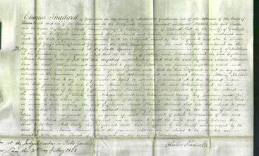 Court of Common Pleas - Euphemia Maria Hanmer-Original Ancestry