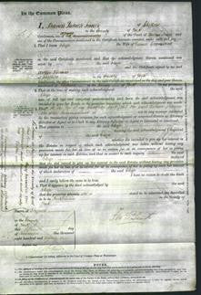 Court of Common Pleas - Eliza Greenwood-Original Ancestry