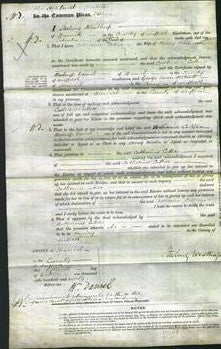 Court of Common Pleas - Catherine Esther Woolner-Original Ancestry