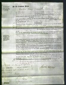 Court of Common Pleas - Mary Harris-Original Ancestry