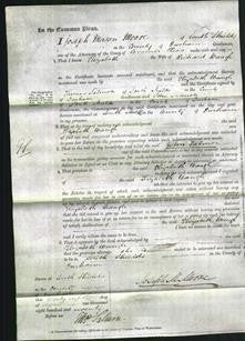 Court of Common Pleas - Elizabeth Waugh-Original Ancestry