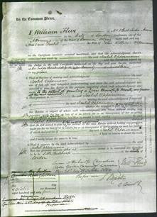 Court of Common Pleas - Isabel Oppermann-Original Ancestry