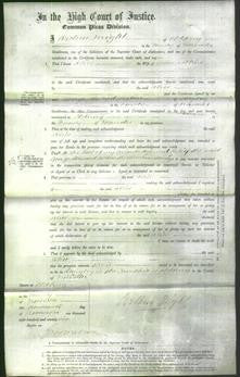 Court of Common Pleas - Alice Collins-Original Ancestry