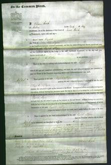 Court of Common Pleas - Elizabeth Shynn-Original Ancestry