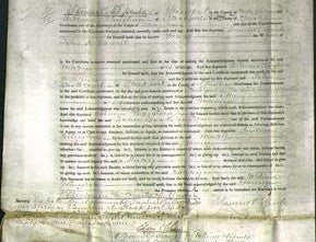 Court of Common Pleas - Mary Hallowell-Original Ancestry