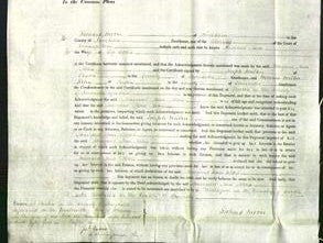 Court of Common Pleas - Margaret Ann Aldis-Original Ancestry